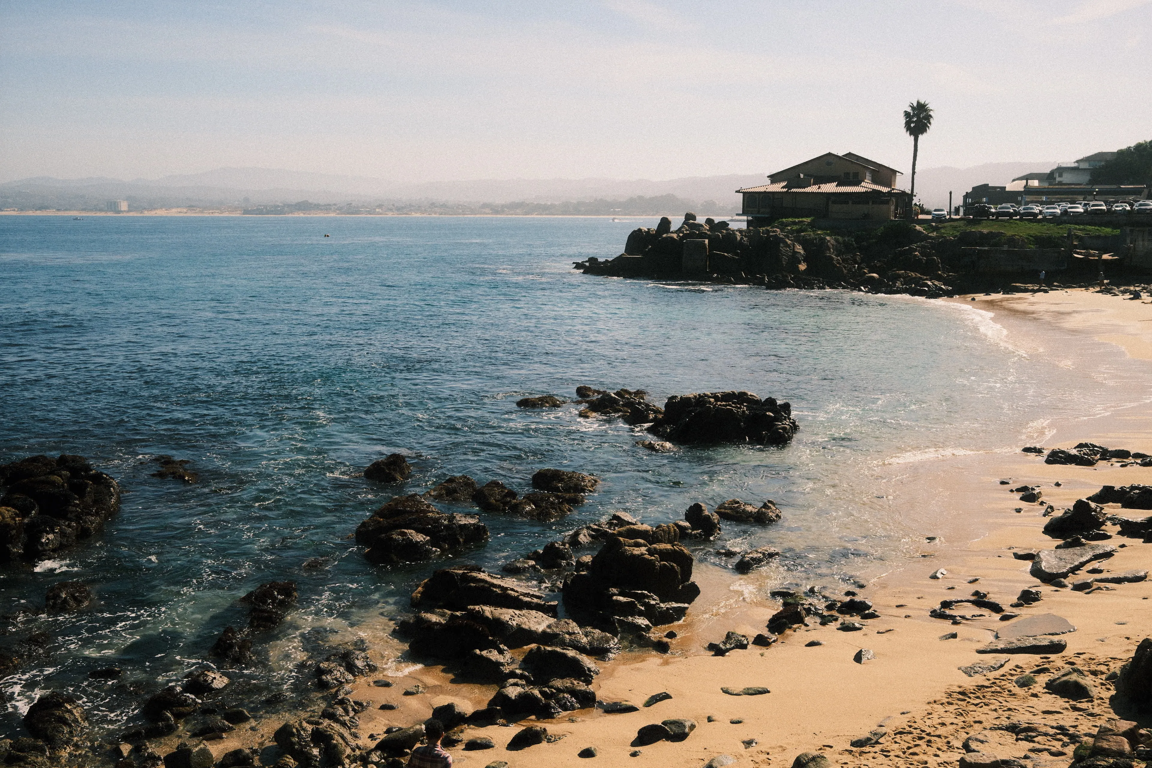 Beach cove with building and palm