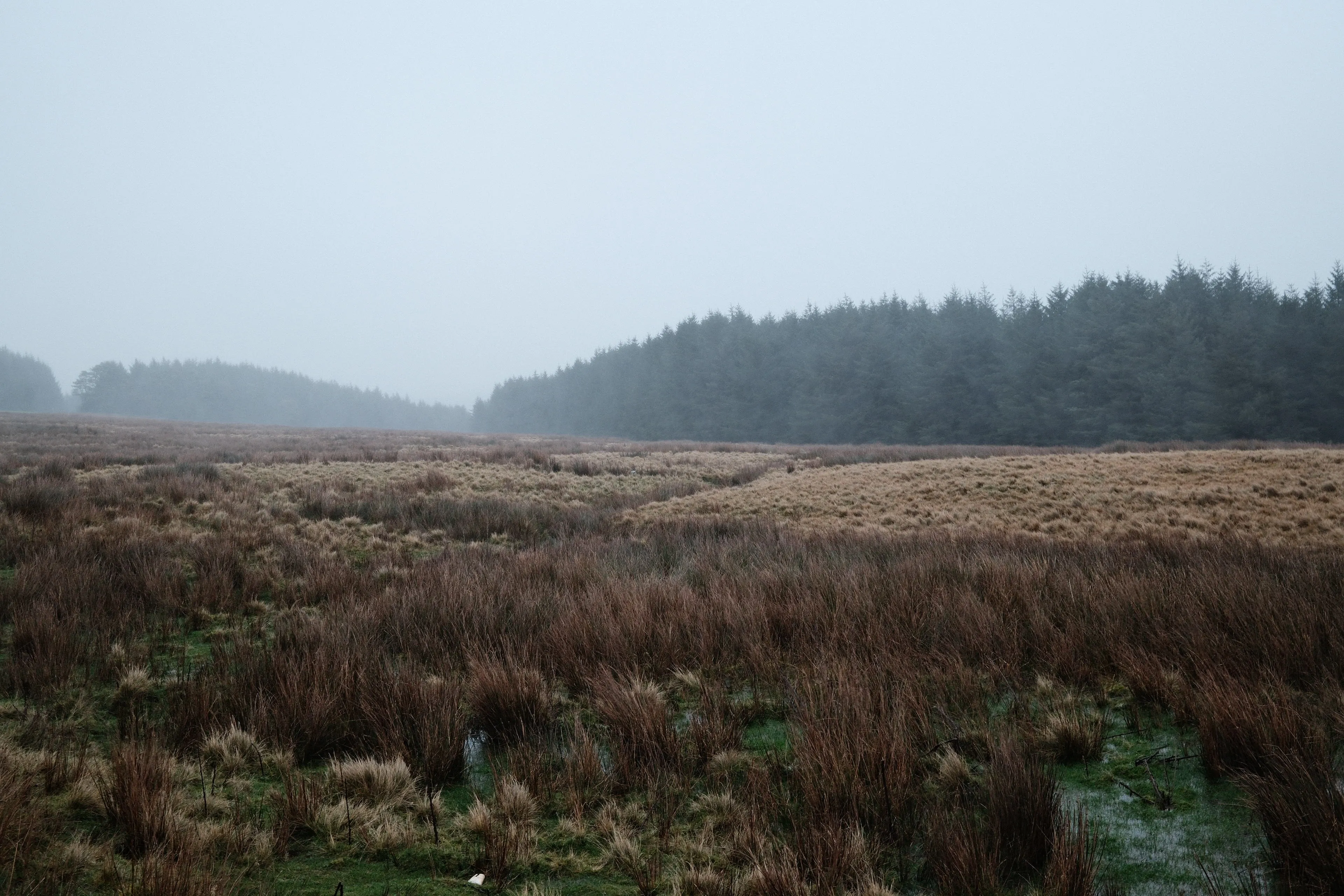 Misty moorland in Brecon