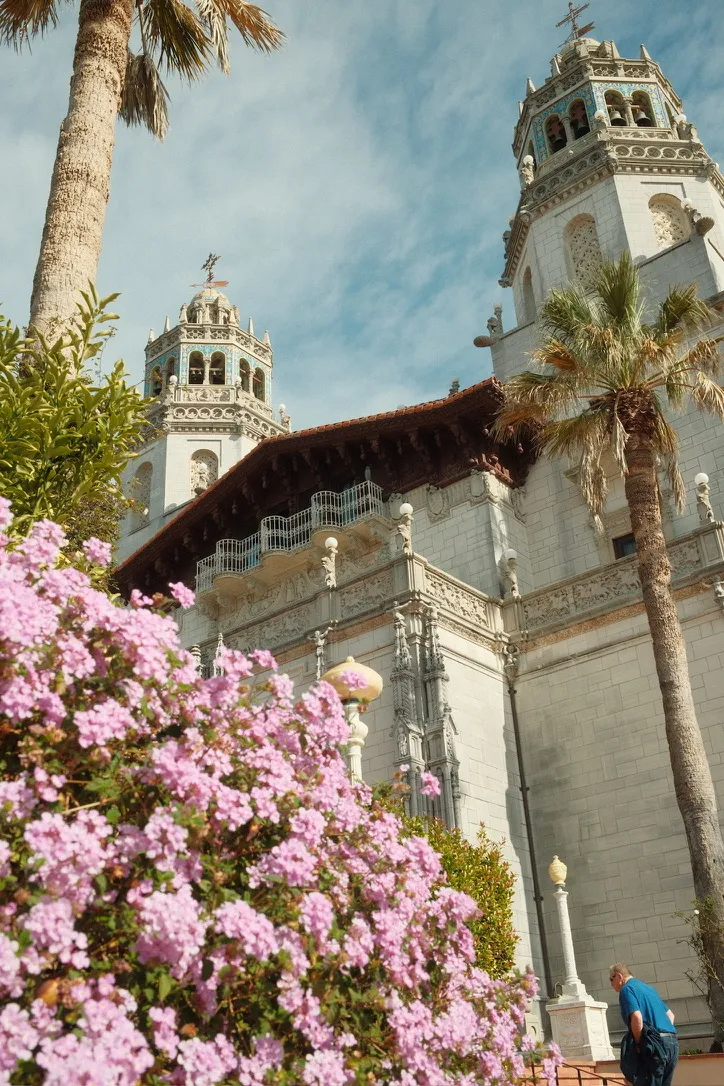 Castle towers with pink flowers and palms