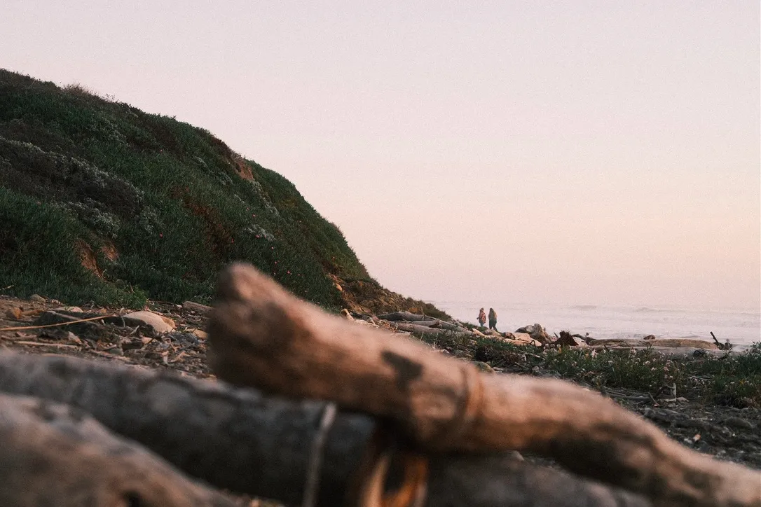 Beach below the cliff with driftwood at dusk