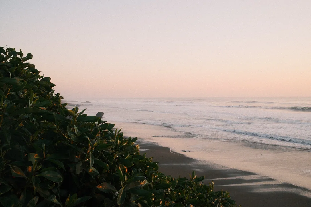 Beach and waves from the coastal overlook