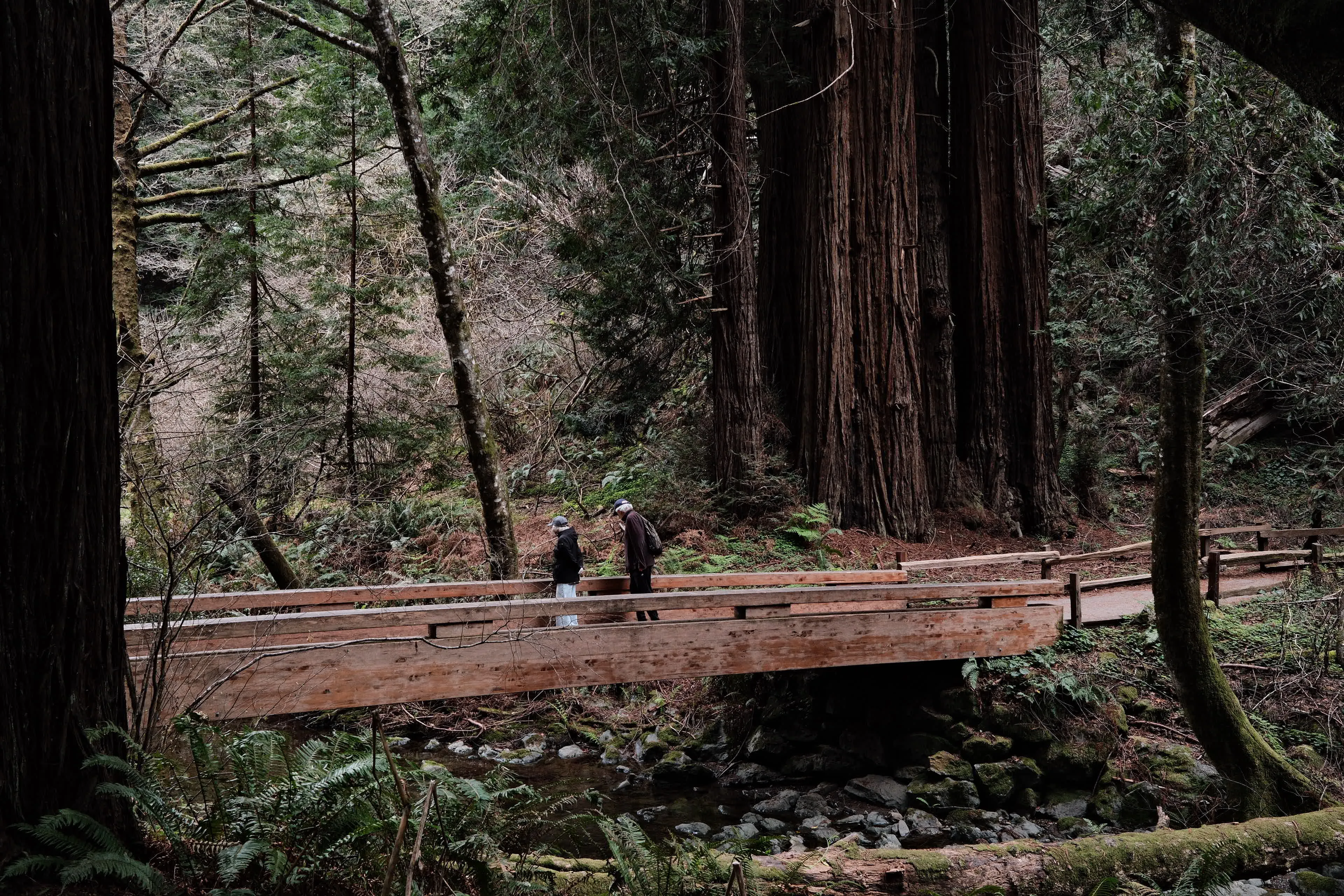 Couple on bridge