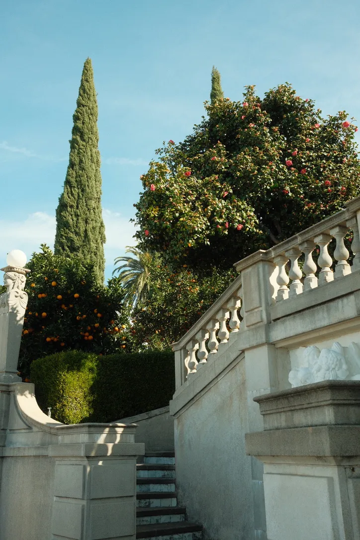Stone staircase through orange trees and cypress