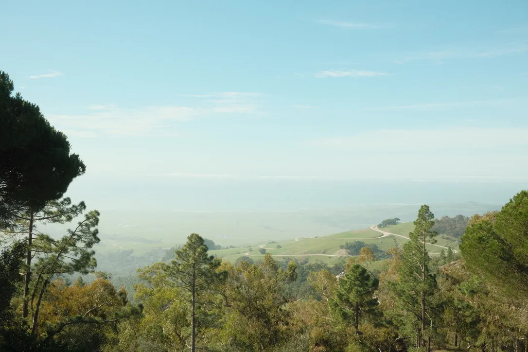 Rolling hills and ocean from the hillside