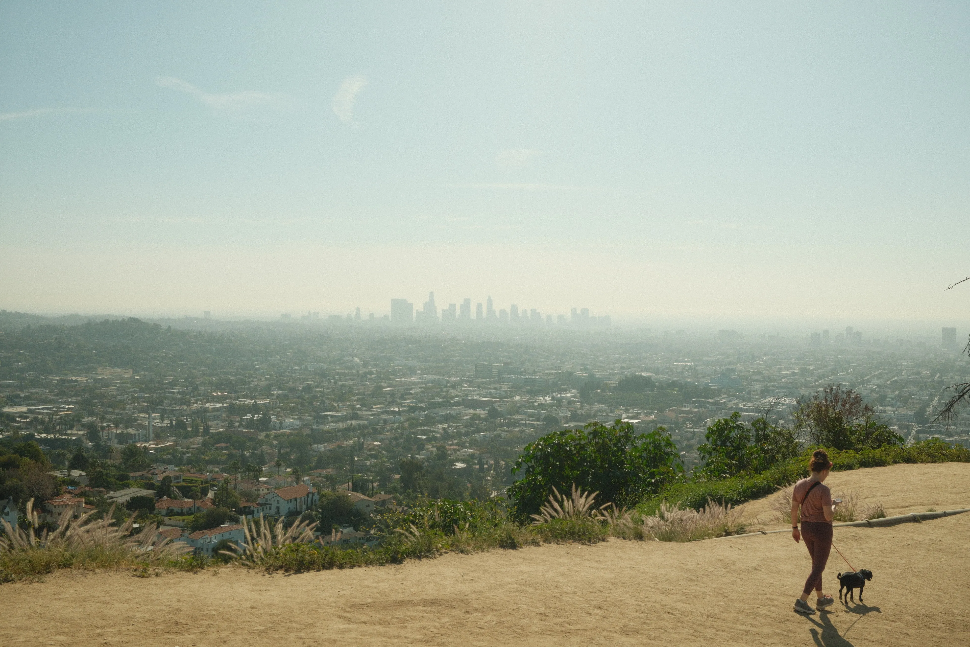 LA in the haze and woman walking her dog
