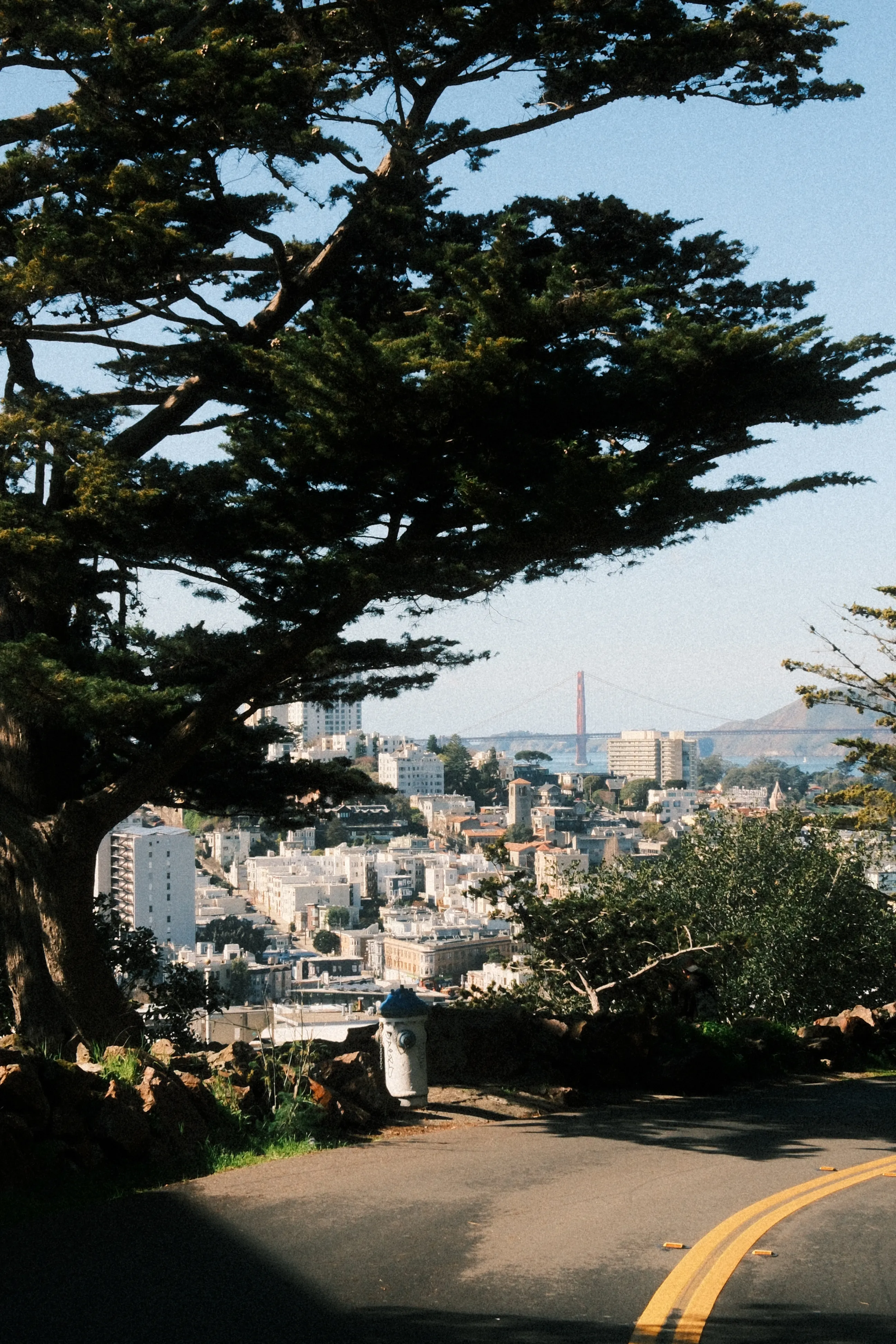 Lookout toward Golden Gate